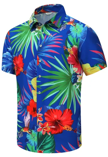 2023 New Custom 100% Cotton Mens Slim or Loose Dress Shirt Blouse Long Sleeve Oxford Oversize Casual Formal Flannel Business Shirts for Men